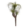 Air Plant Succulent Pick (Set of 6)
