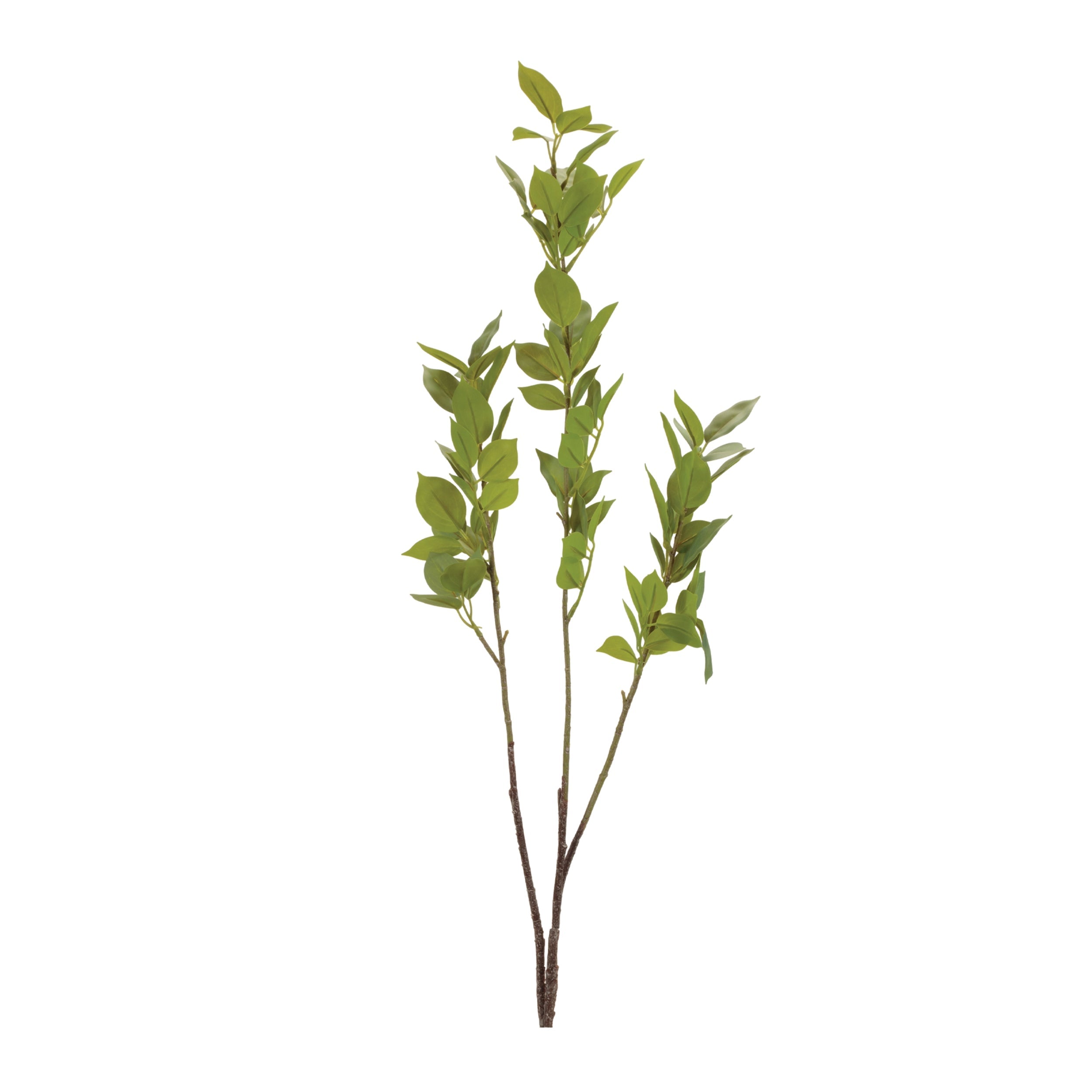 Leaf Foliage Branch (Set of 6)
