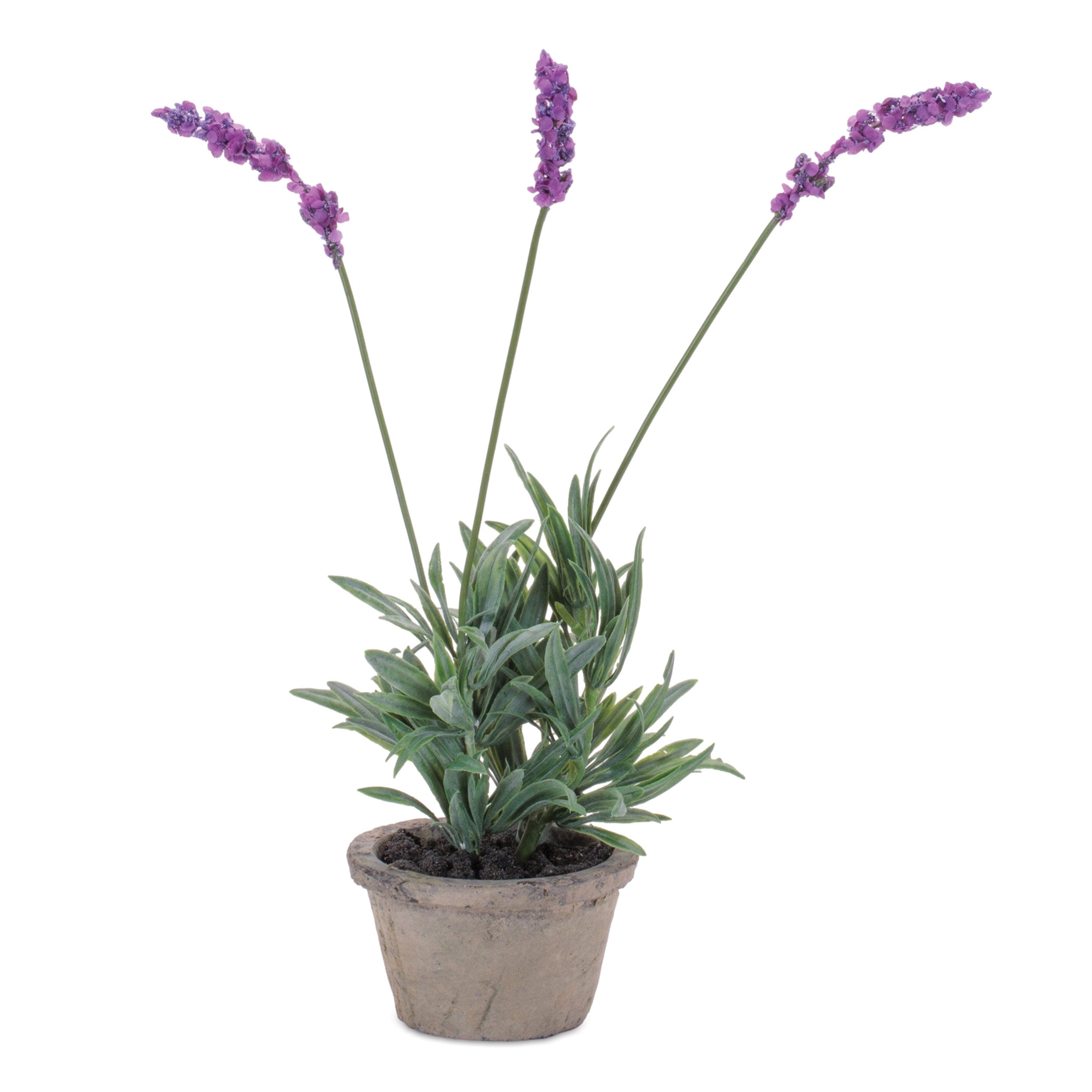 Potted Lavender 14.5"H