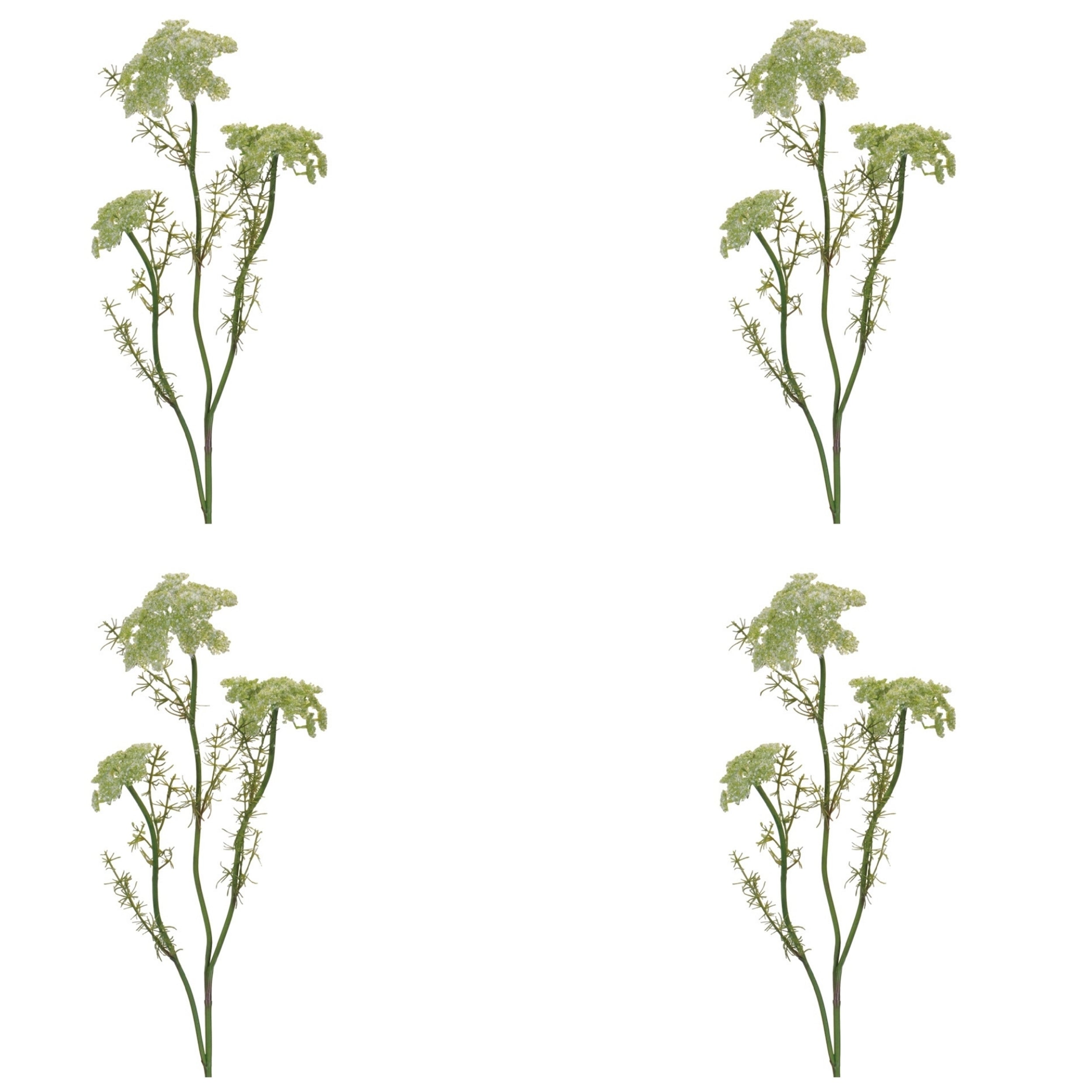 Queen AnneÕs Lace Floral Spray (Set of 4)