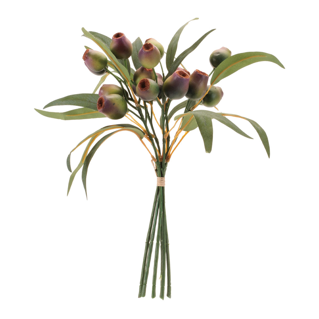 Pod Foliage Bundle (Set of 6)