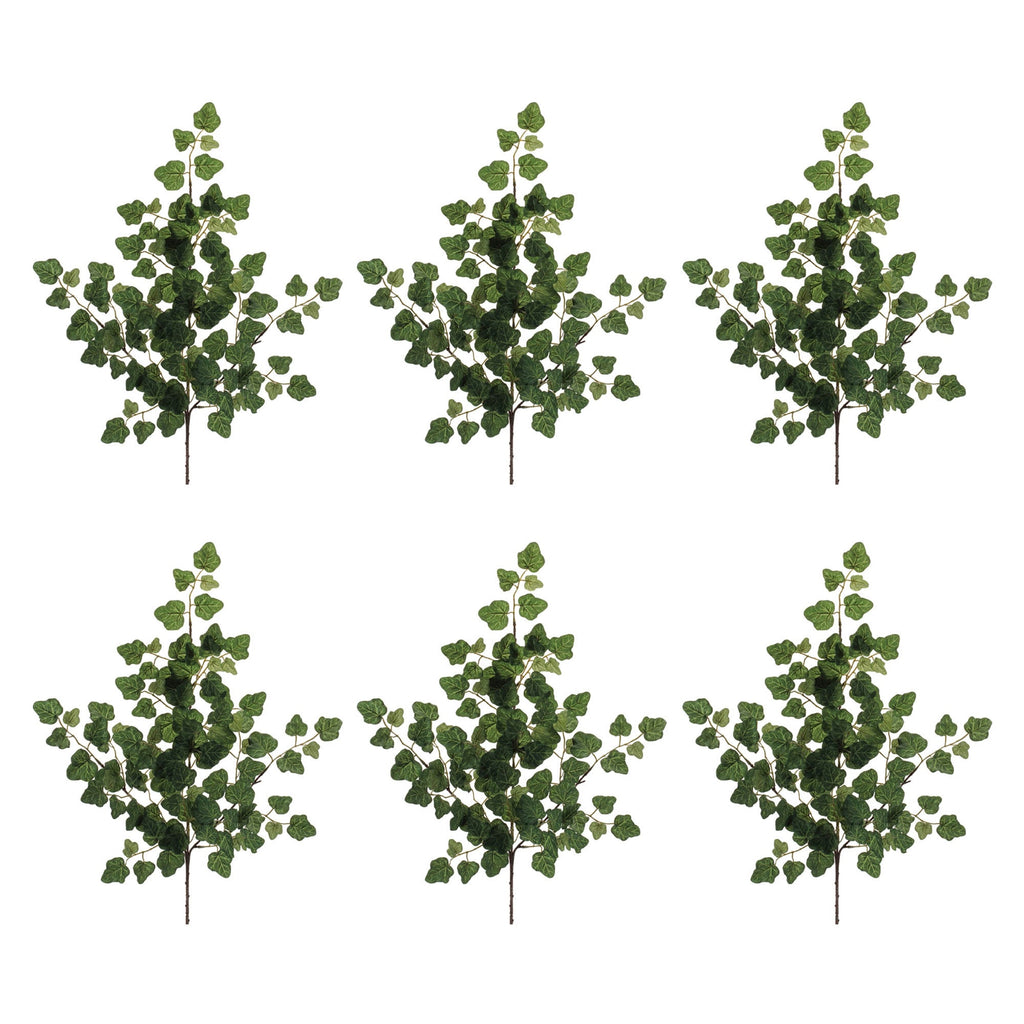 Ivy Foliage Spray (Set of 6)