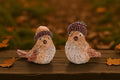 Woodland Bird with Acorn Hat Figurine (Set of 2)