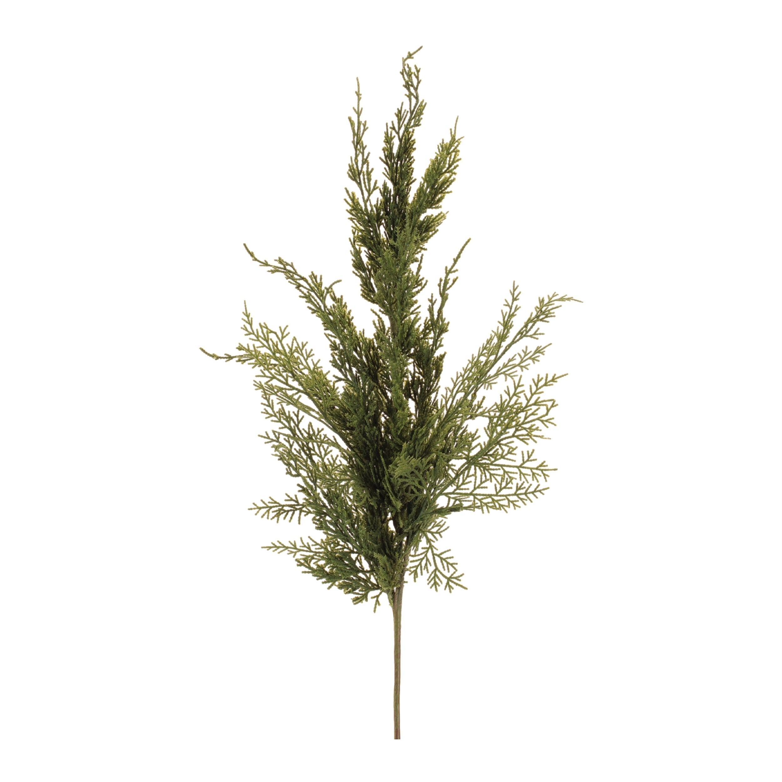 Variegated Pine Spray (Set of 4)