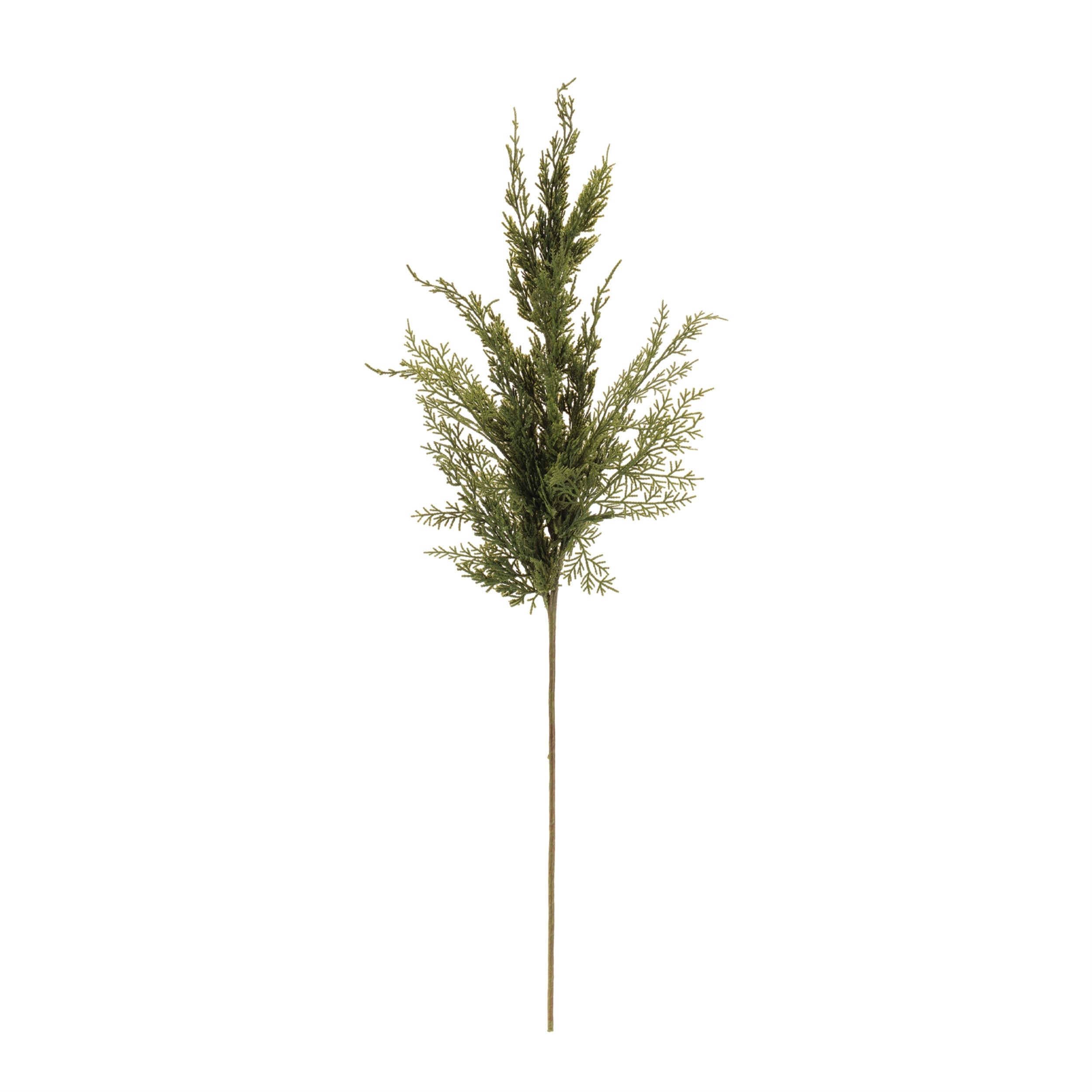 Variegated Pine Spray (Set of 4)