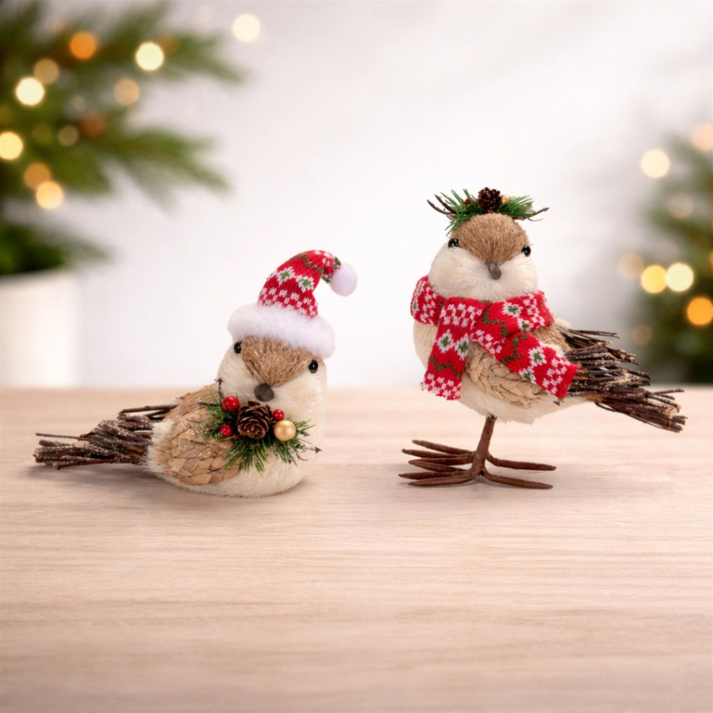 Winter Bird Figurines with Knit Hats and Scarves (Set of 2)