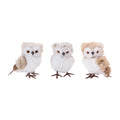 Owl with Faux Fur Shelf Sitter (Set of 12)