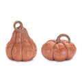 Decorative Harvest Pumpkin (Set of 2)
