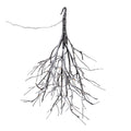 LED Flocked Twig Branch 4'H