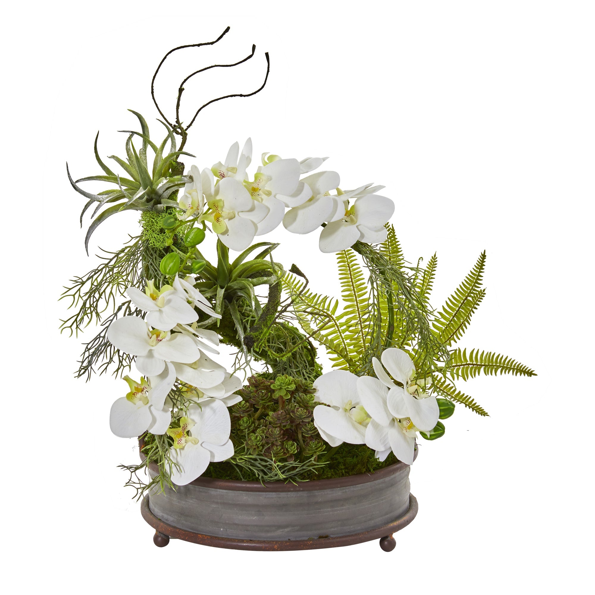 21" Phalaenopsis Orchid, Succulent and Fern Artificial Arrangement in Metal Tray