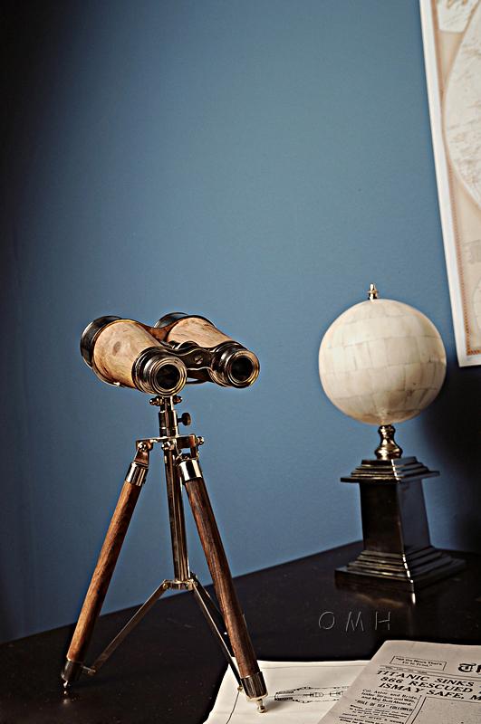 Brass Binocular On Stand