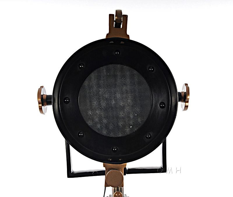 Alum/Steel Spot Light Wood Stand Textured Glass