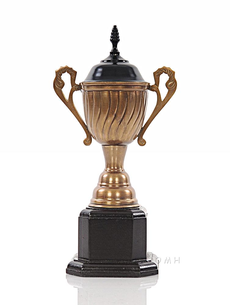 Alum/Wooden Trophy Big