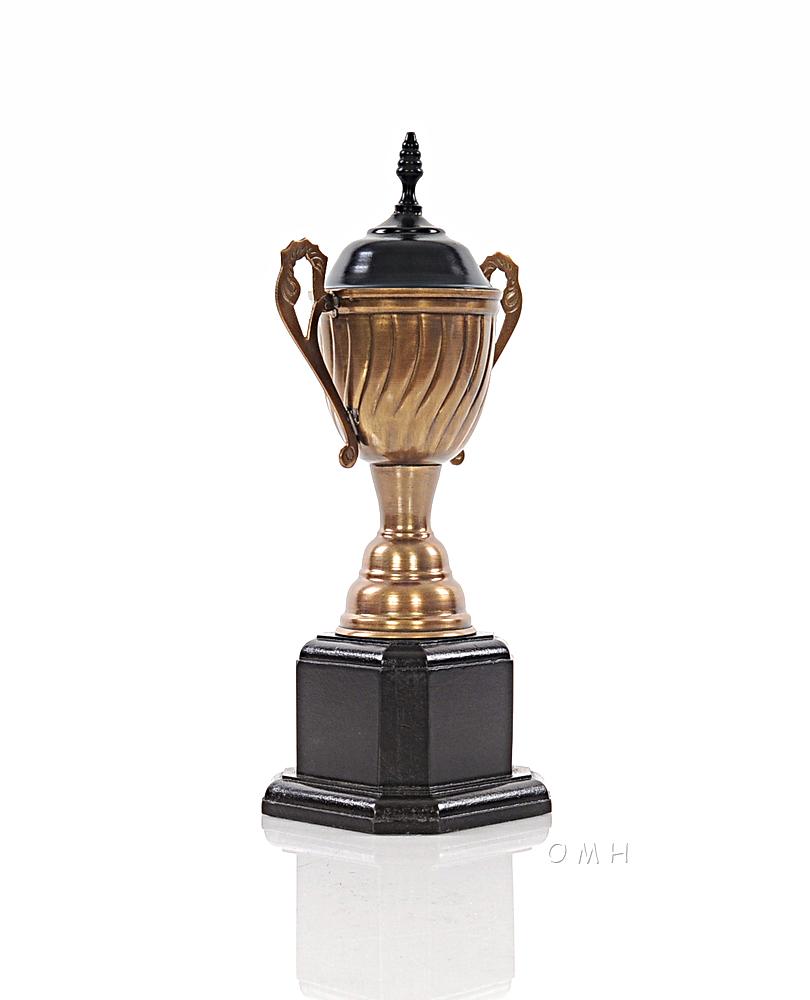 Alum/Wooden Trophy Big