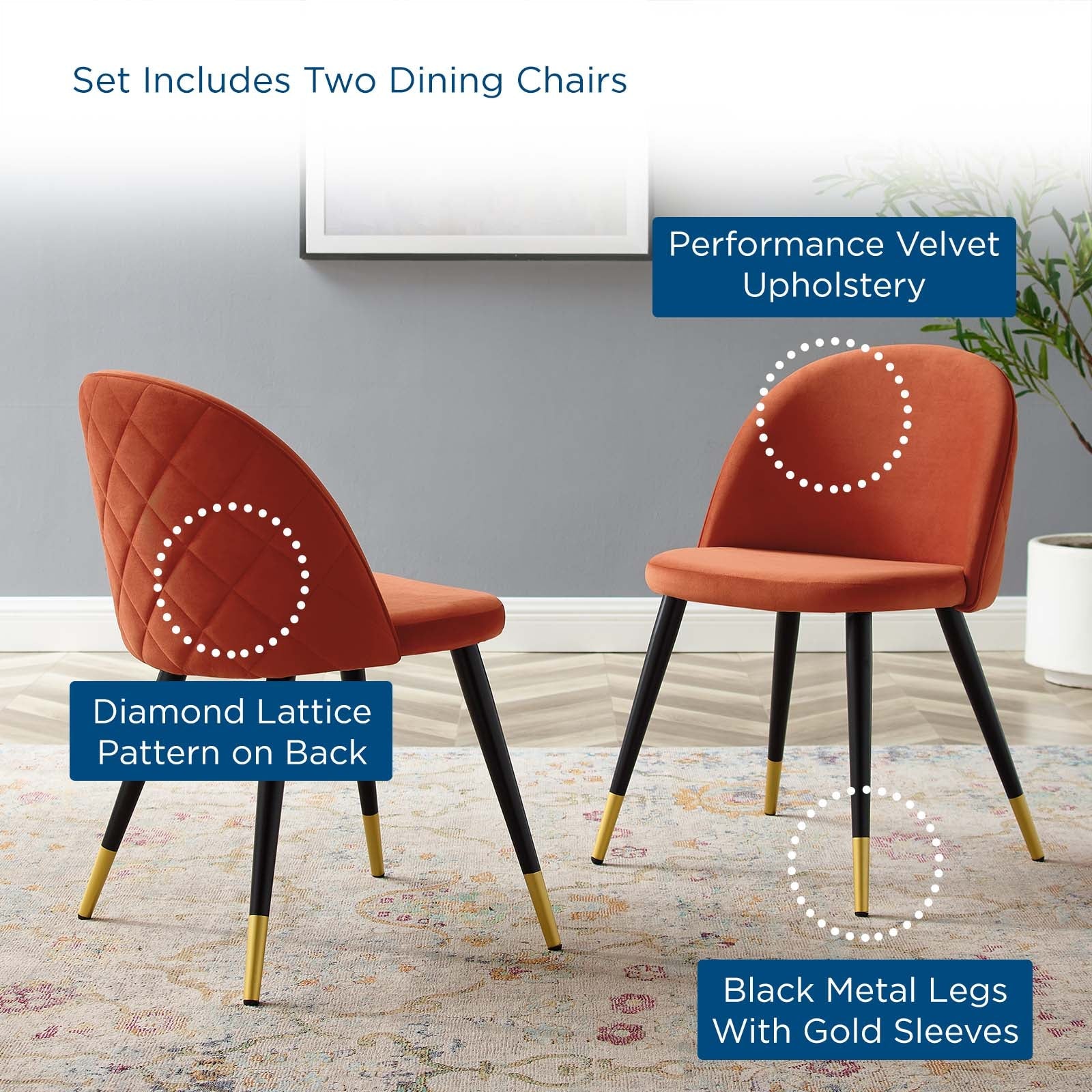 Cordial Performance Velvet Dining Chairs Set of 2 by Modway
