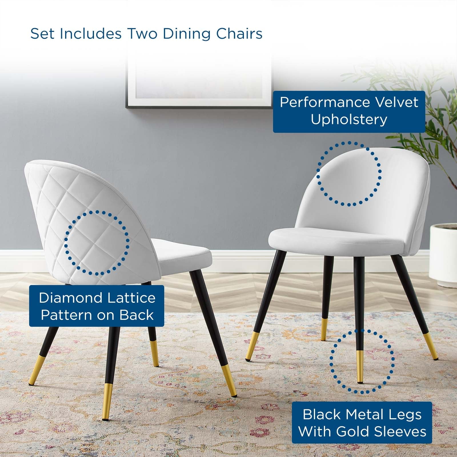 Cordial Performance Velvet Dining Chairs Set of 2 by Modway