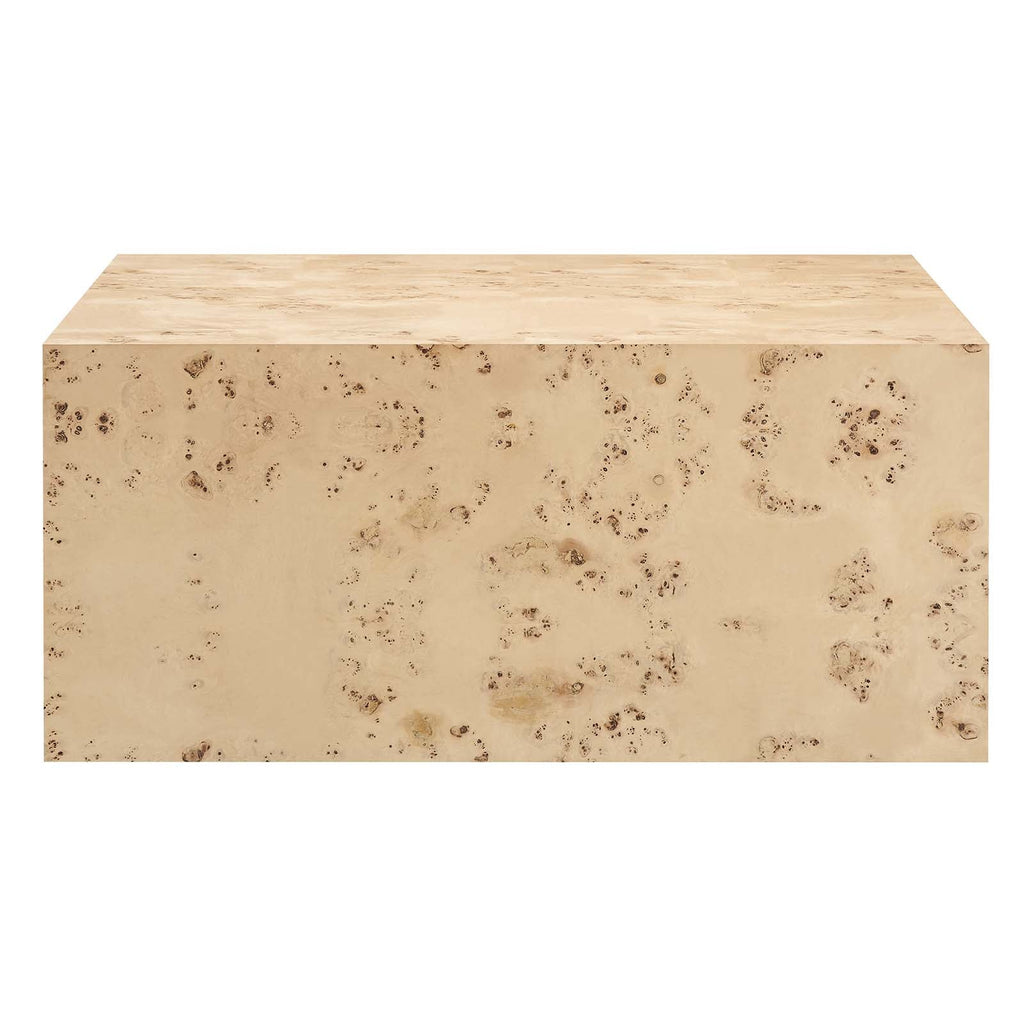 Cosmos 36" Square Burl Wood Coffee Table by Modway