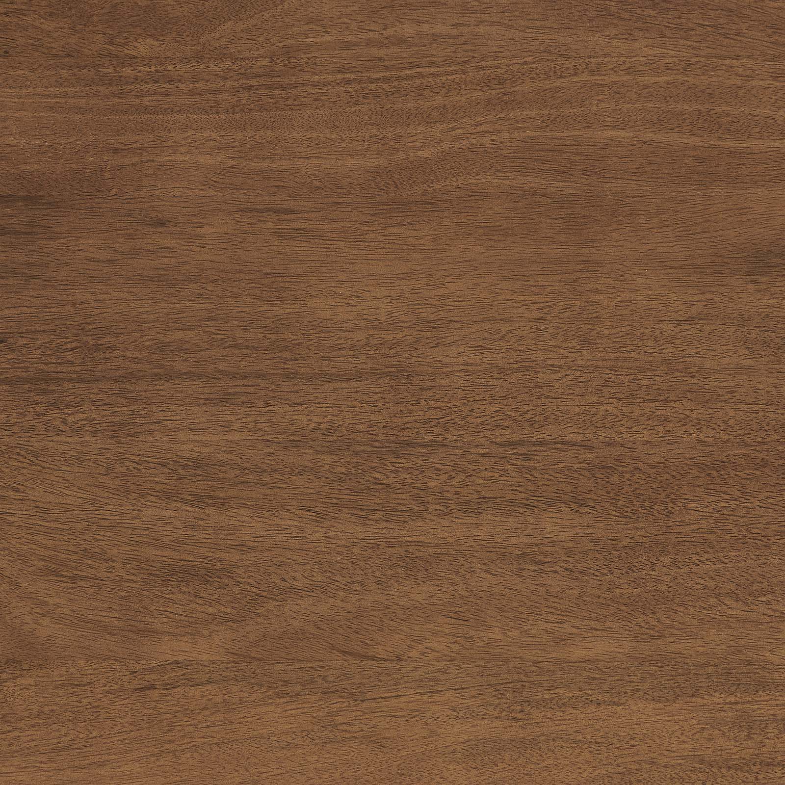 Amistad 72" Dining Table by Modway
