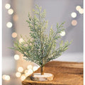 Frosted Cypress Tree 8" (Pack of 4)