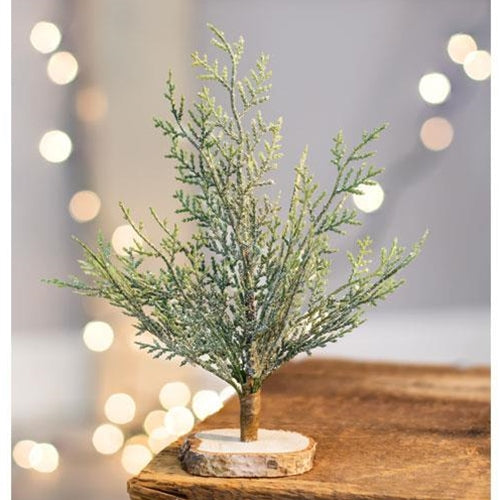 Frosted Cypress Tree 8" (Pack of 4)