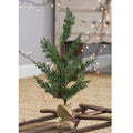 19" Pinecone Tree W/ Burlap Base (Pack of 2)