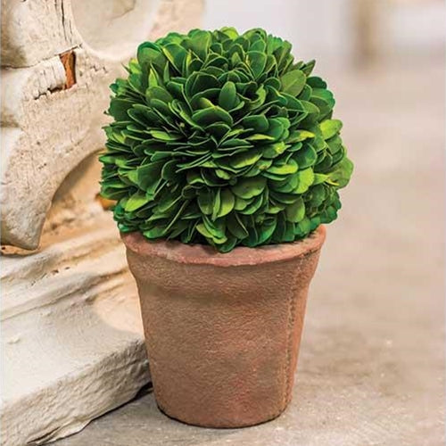 Potted Boxwood Ball 6.5"
