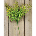 Baby's Grass Pick 9" Light Green  (Pack of 4)