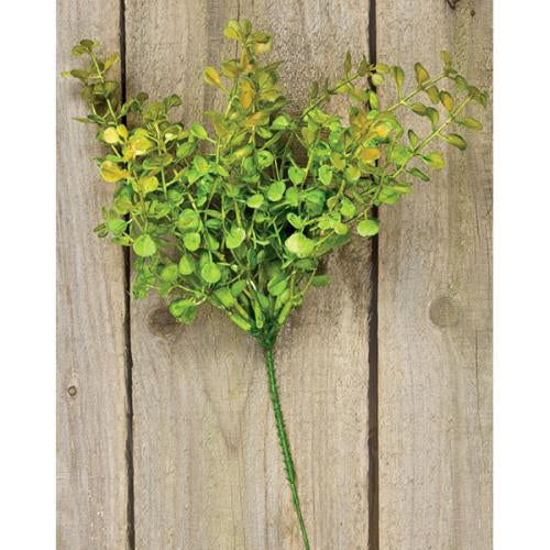 Baby's Grass Pick 9" Light Green  (Pack of 4)