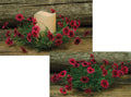 Pink Star Daisy Ring (Pack of 4)
