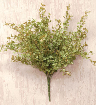 Baby's Grass Spray 14" Green (Pack of 2)