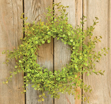Baby's Grass Ring 10" Light green  (Pack of 4)