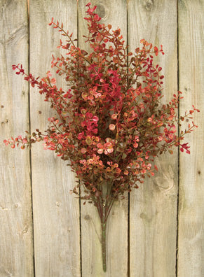 Red Baby's Grass Bush 21" (Pack of 2)