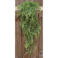 Dill Leaves Hanging Bush 34" (Pack of 2)