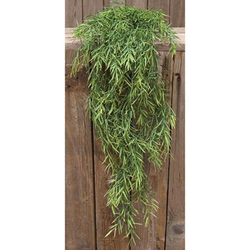 Dill Leaves Hanging Bush 34" (Pack of 2)