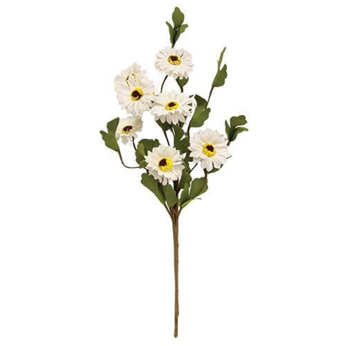 White Daisy Pick 15" (Pack of 4)