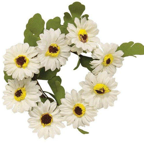 White Daisy Candle Ring 2.5" (Pack of 4)