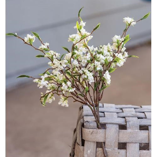 Bliss Buds Bush Cream 13" (Pack of 4)