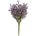 Array Astilbe Bush Purple (Pack of 4)