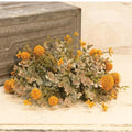 Fall Garden Half Sphere 10" Mustard (Pack of 2)