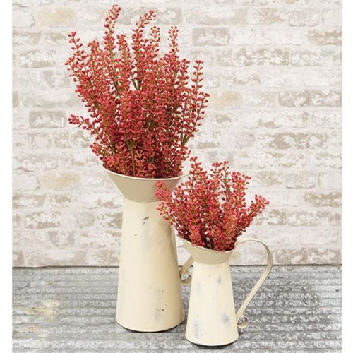 Bursting Astilbe Bush 10.5" Sangria (Pack of 4)
