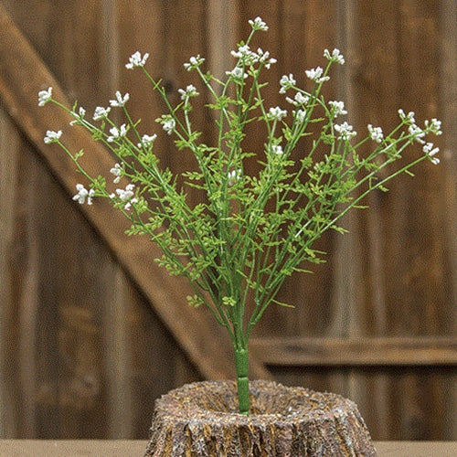 Pixieflower Bush Cream 14" (Pack of 4)