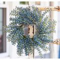 Bursting Astilbe Candle Ring Sky Blue 3.5" (Pack of 2)