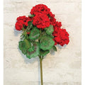 Geranium Bush 18" Red