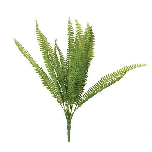 Kimberly Stand Up Fern Bush 22" (Pack of 2)