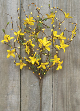 Star Forsythia Spray 18" (Pack of 2)