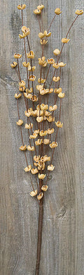Buttercup Pick - Teastain  (Pack of 4)