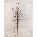 Pip Berry Spray 26" Farmhouse Mix  (Pack of 4)