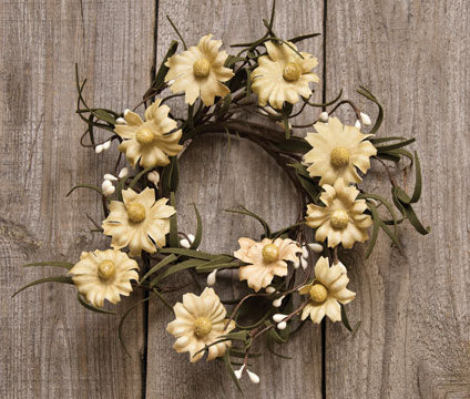 Teastain Daisy & Pip Ring 3-1/2" (Pack of 4)