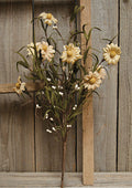 Teastain Daisy & Pip Pick 16"  (Pack of 4)