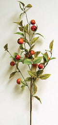 Crab Apple Branch 30" (Pack of 2)